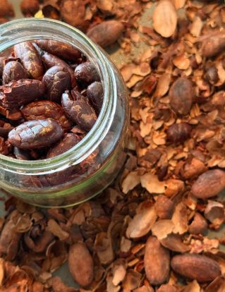 Fotos WEB - Granos de Cacao Orgánico